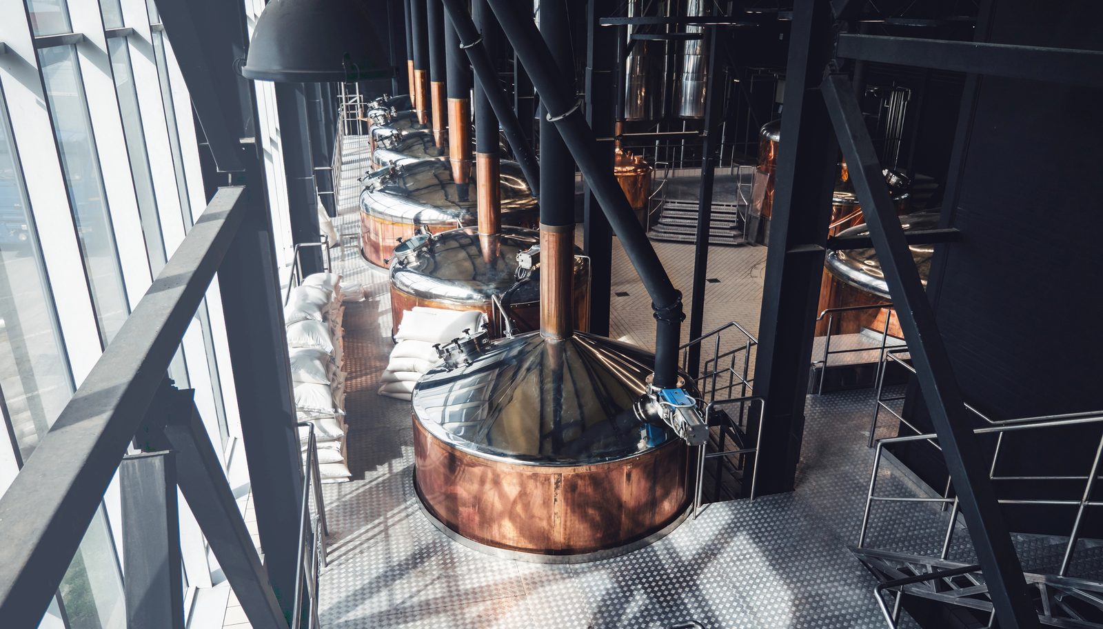 Hold your cold store, zone the packaging hall, and keep brewhouse steam out of the areas that cannot take it.