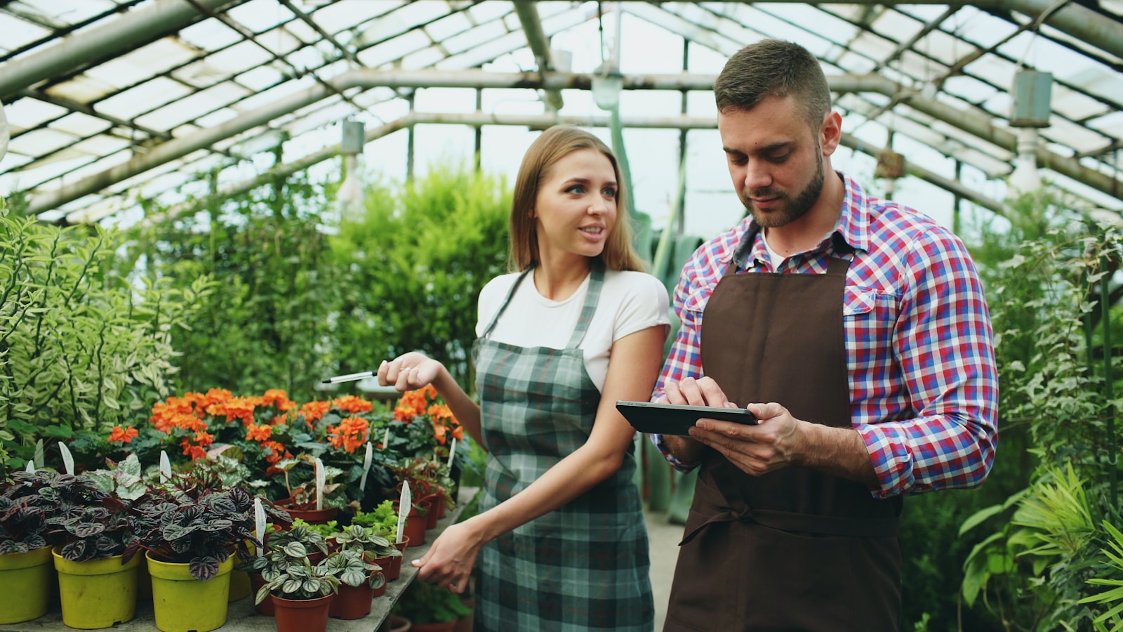 Hold glasshouse temperature and humidity, keep pests out of propagation, and still get a trolley through without stopping.